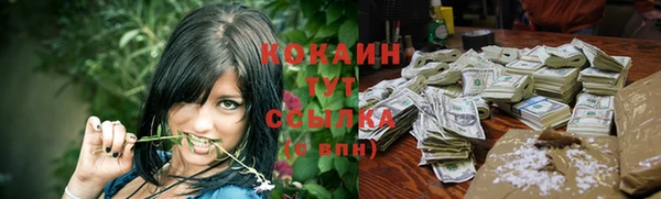 apvp Аркадак