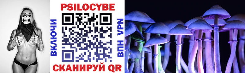 Псилоцибиновые грибы Psilocybe где найти наркотики Чердынь